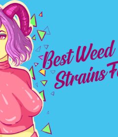 Best-Weed-Strains-For-Sex-50shadesofgreen