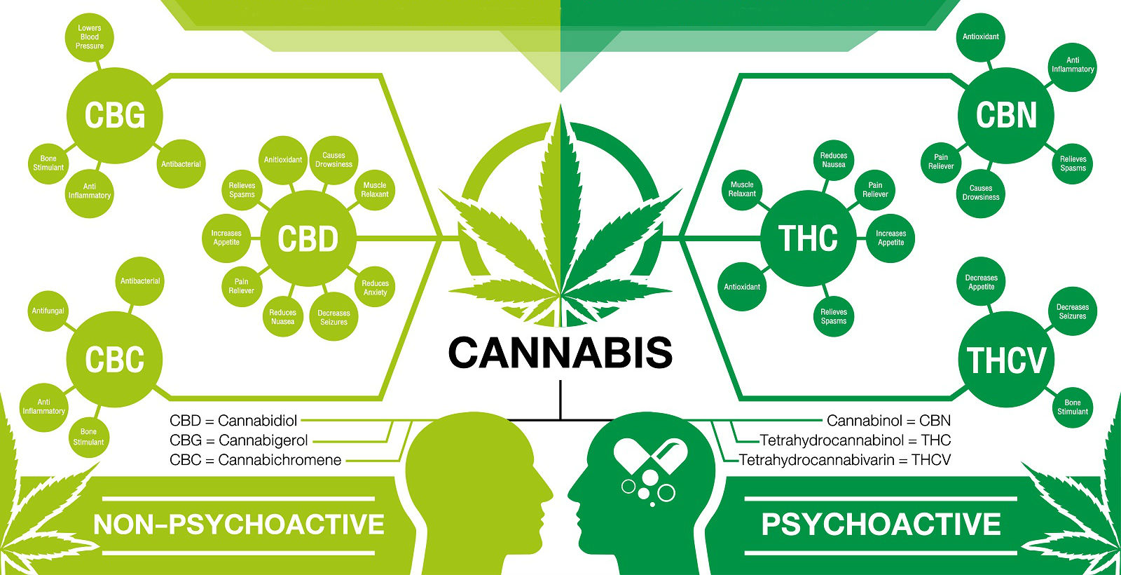 CannabinoidsGuideLarge 50shadesofgreen