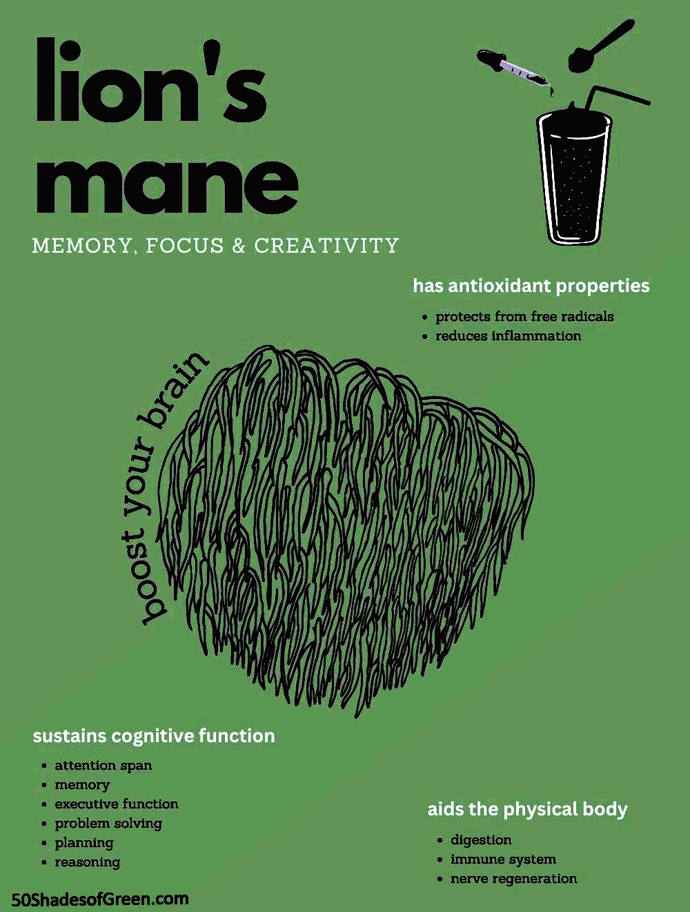 Lion's Mane Gummies: Unveiling the Benefits of the Best Mushroom Gummies on 50 Shades of Green