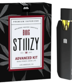 stiiizy-biiig-battery-vape for sale online